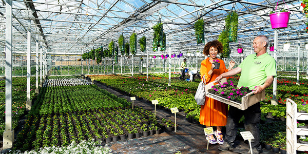 Verduurzamen van je bedrijf